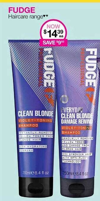 Fudge Haircare Range