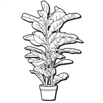 Un-Real Artificial Fiddle Leaf Fig