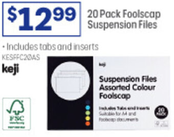 20 Pack Foolscap Suspension Files