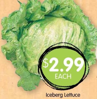 Spudshed Iceberg Lettuce offer