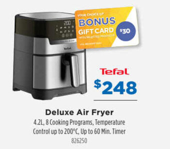 Deluxe air fryer