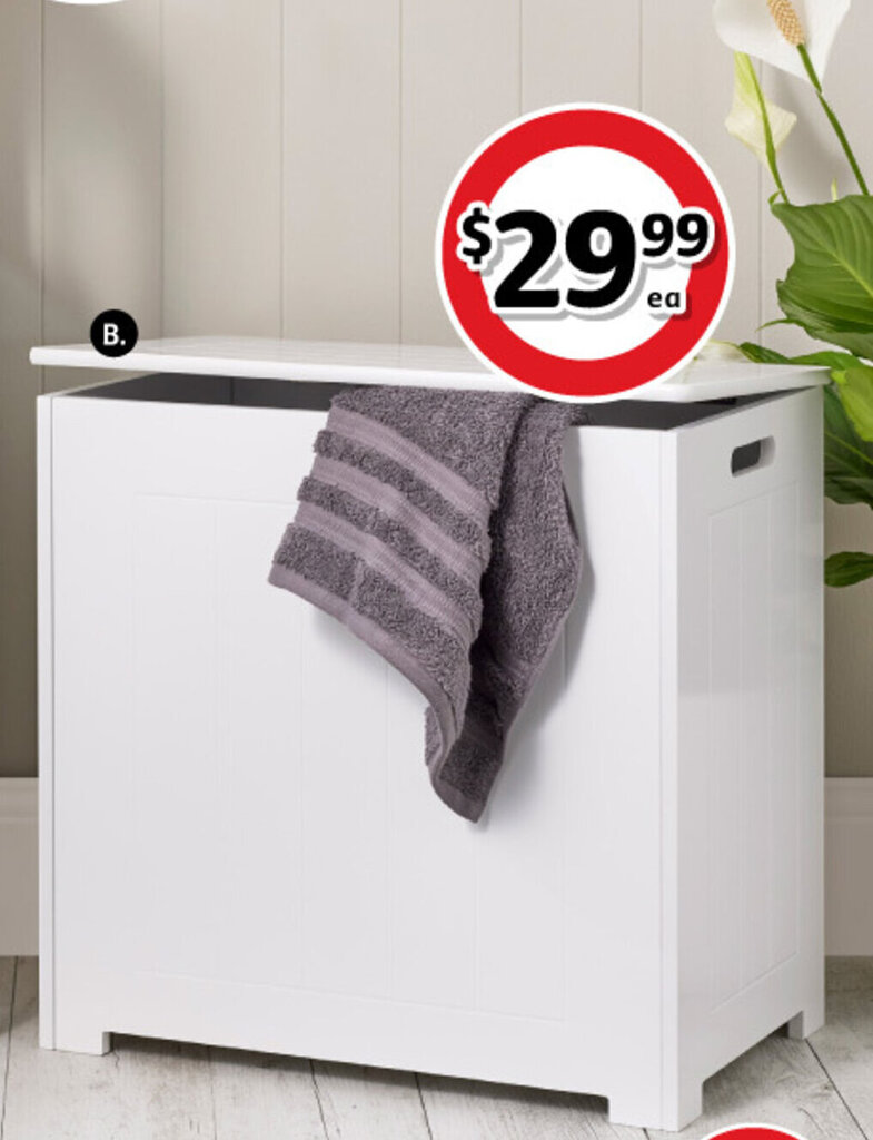 Havana laundry Hamper offer at Coles