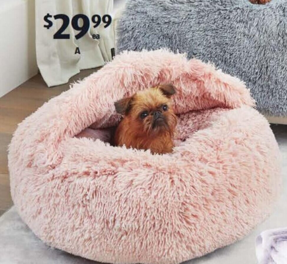 Aldi Dog Sofa Bed Baci Living Room