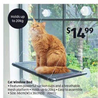 ALDI Cat Window Bed offer
