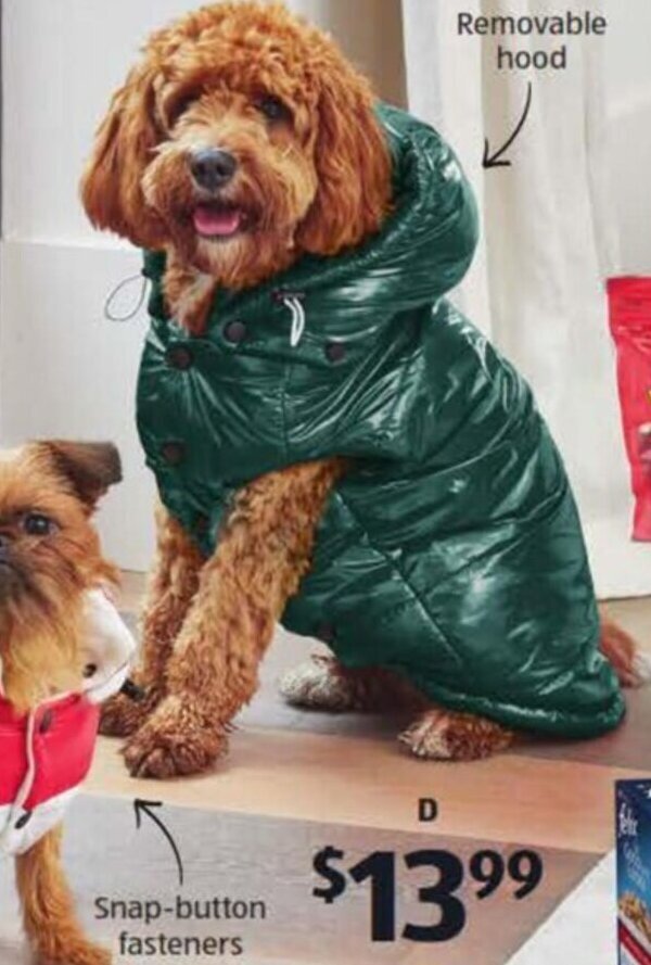 aldi dog raincoat