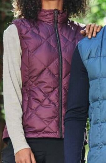 ALDI Adult's Down Vest offer
