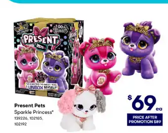 BIG W Present Pets Sparkle Princess offer