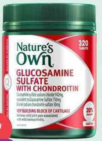 Nature's Own Glucosamine Sulfate With Chondroitin 320 Tablets