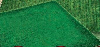 Cheap as Chips Artificial Grass Mat 1 x 1 metre offer
