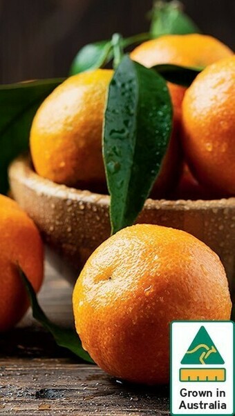 IGA Australian Mandarins offer