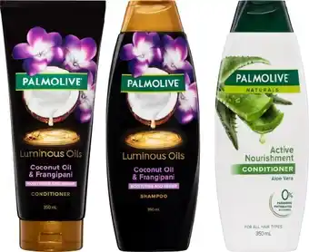 BIG W 1/2 Price on Selected Palmolive Hair Care offer