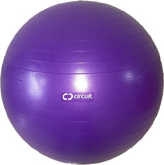 BIG W Circuit 75cm Gym Ball offer