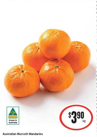 IGA Australian Murcott Mandarins offer