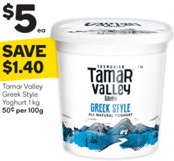 Woolworths Tamar Valley Greek Style Yoghurt 1kg offer