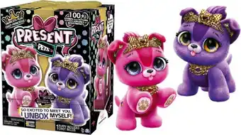 BIG W Present Pets Sparkle Princess Pups* offer