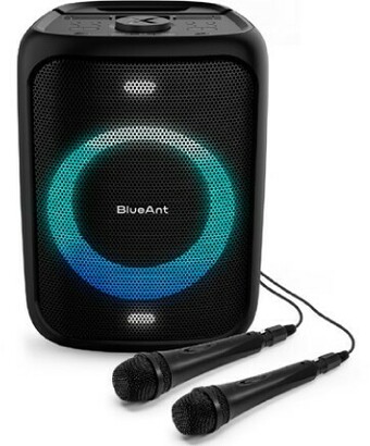 BIG W BlueAnt X5 Bluetooth Speaker offer