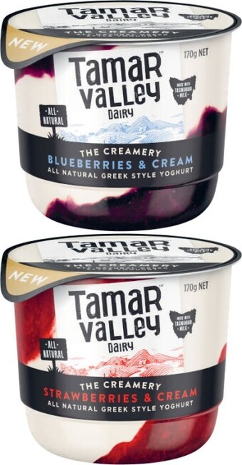 Coles Tamar Valley Creamery Yoghurt 170g offer