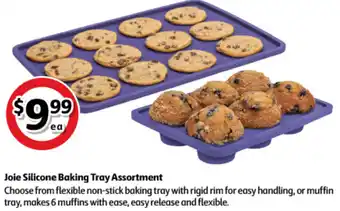 Jopie Silicone Baking Tray Assortment