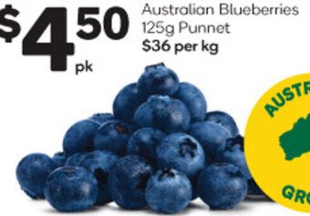 Woolworths Australian Blueberries 125g Punnet offer