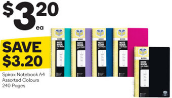 Spirax Notebook A4 Assorted Colours 240 Pages
