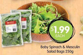 Spudshed Baby Spinach & Mesculin Salad Bags 250g offer