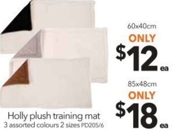 Cheap as Chips Holly Plush Training Mat 60x40cm offer