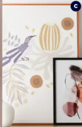 Spotlight Jocelyn Proust Wattle Bird Framed Canvas offer