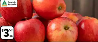 Foodworks Sweet & Crunchy Gala Apples offer