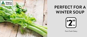 Foodworks Farm Fresh Celery offer