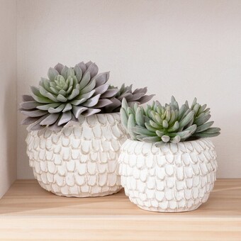 Pillow Talk Quinn planter by habitat offer