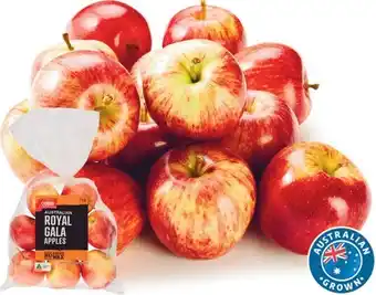 Coles Coles australian royal gala apples 1kg bag offer
