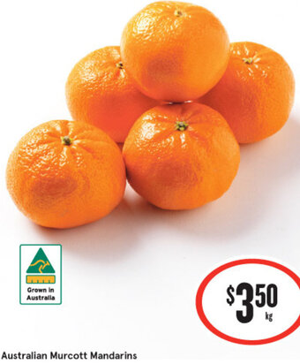 IGA Australian Murcott Mandarins offer