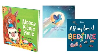BIG W Picture books offer