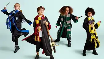 BIG W Harry potter costumes - school robes offer