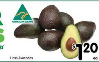 Spar Hass avocados offer