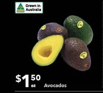 Ritchies Avocados offer