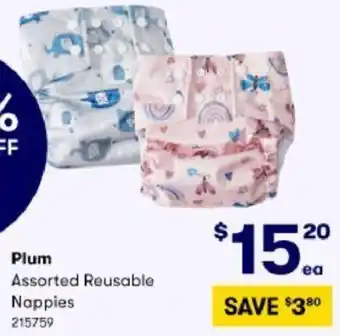 BIG W Plum Assorted Reusable Nappies offer