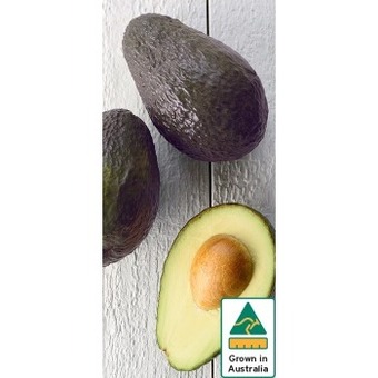 IGA Australian hass avocados offer