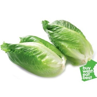 IGA Cos lettuce twin pack offer