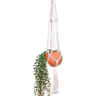Woolworths Inspire artificial hanging plant offer