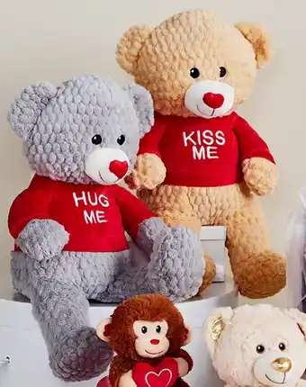BIG W Assorted Valentineu2019s Day 33cm Bear with T-Shirt offer