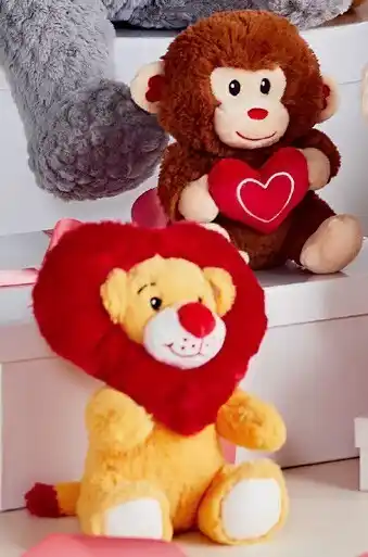 BIG W Assorted 16cm Valentineu2019s Day Animal Plush offer