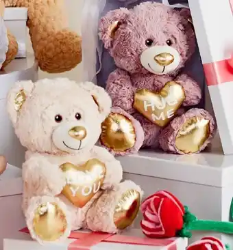 BIG W Assorted Valentineu2019s Day 21cm Bear with Gold Heart offer