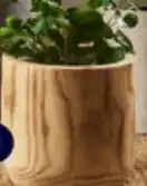 Planter Pots & Potted Plants Wood Planter Pot 20cm