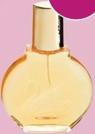 Terry White Gloria Vanderbilt EDT Spray 100ml offer