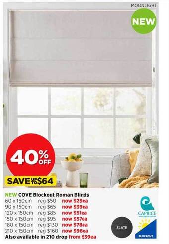 Spotlight Cove blockout roman blinds offer
