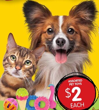 Spudshed Assorted Pet Toys offer