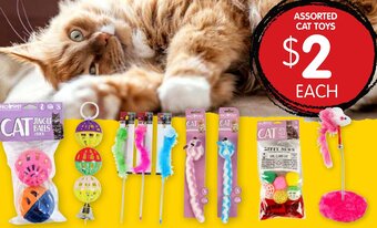 Assorted Cat Toys