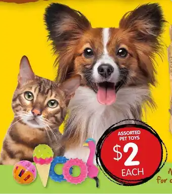 Spudshed Assorted pet toys offer