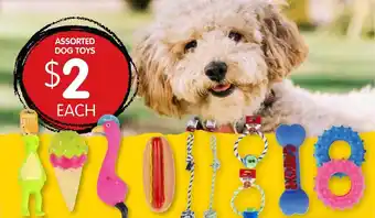 Spudshed Assorted dog toys offer